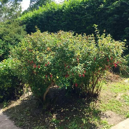 Appartement de 2 chambres a Ingouville avec jardin clos et WiFi a 5 km de la plage Appartement