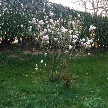 Appartement de 2 chambres a Ingouville avec jardin clos et WiFi a 5 km de la plage Appartement Ingouville